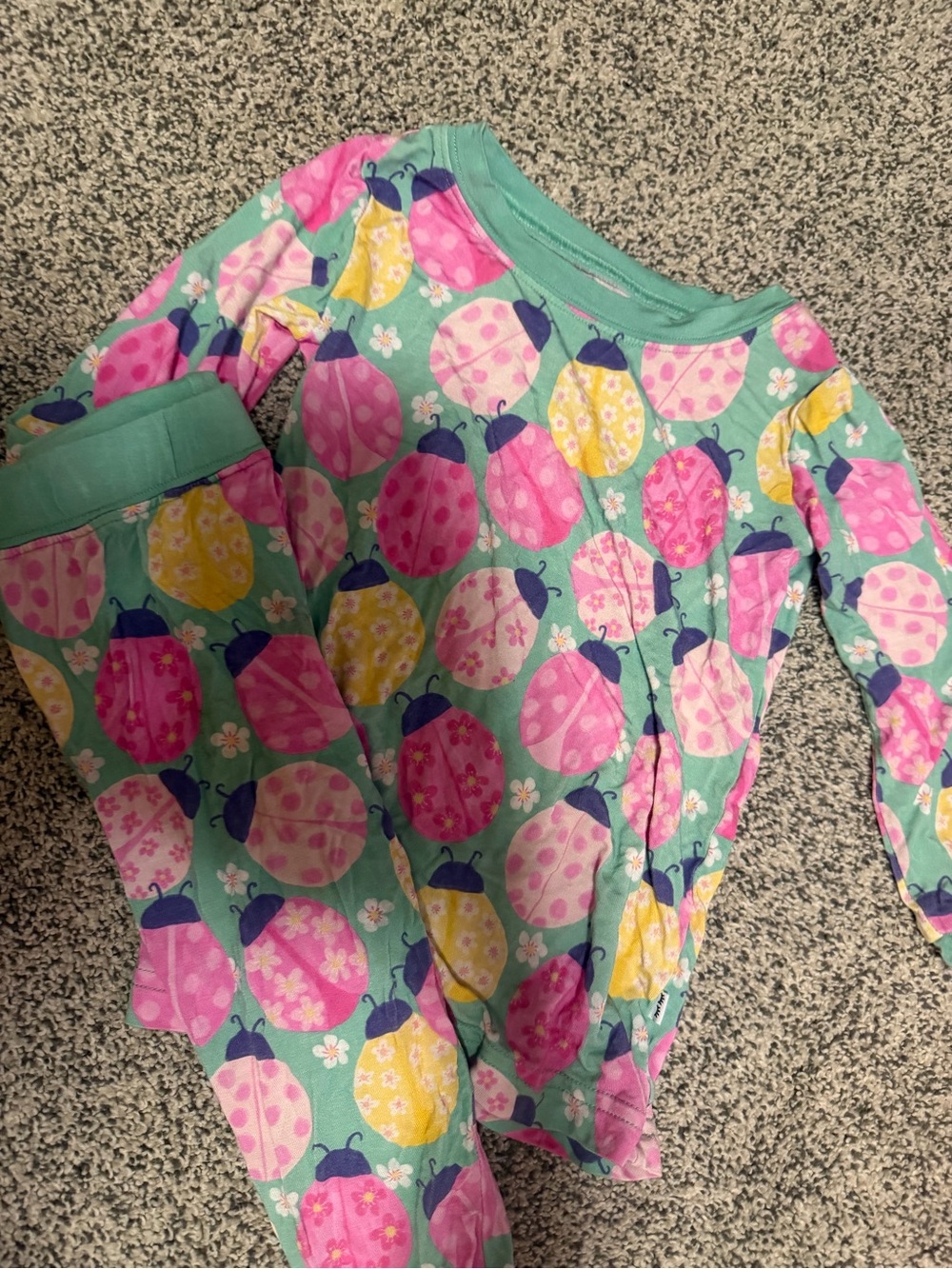 Little Sleepies Mint Green Ladybug Pajama Set